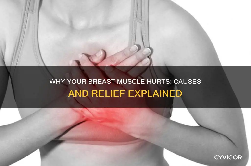 why is my breast muscle sore