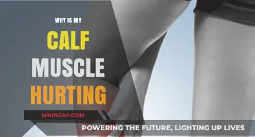 Unraveling the Mystery: Why Your Calf Muscle Hurts