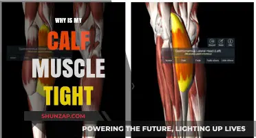 Unraveling the Mystery: Why Your Calf Muscle Feels Tight