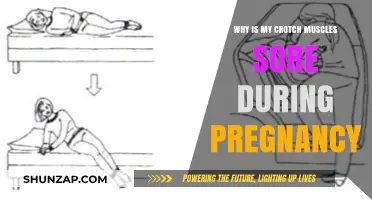 Pregnancy Pelvic Pain: Understanding Sore Crotch Muscles and Relief Tips
