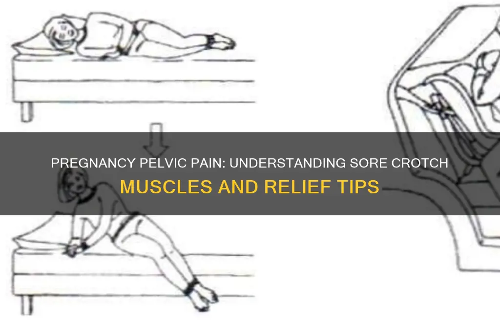why is my crotch muscles sore during pregnancy