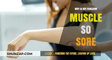 Forearm Muscle Soreness: Causes, Remedies, and Prevention Tips Explained