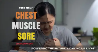 Left Chest Muscle Soreness: Causes, Concerns, and Remedies Explained