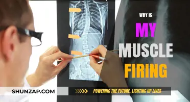 Muscle Firing: What's Behind Those Uncomfortable Twitches?