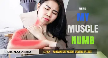 Muscle Numbness: What Your Body is Trying to Tell You