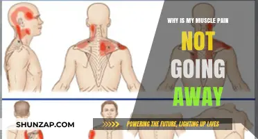 Persistent Muscle Pain: Causes and Solutions for Lasting Relief