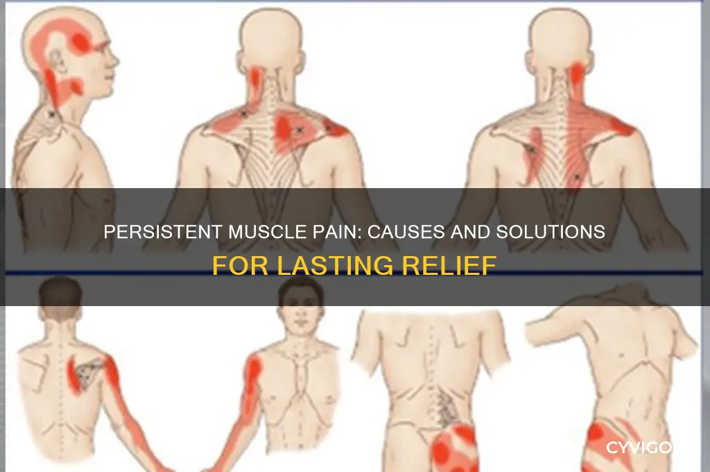why is my muscle pain not going away