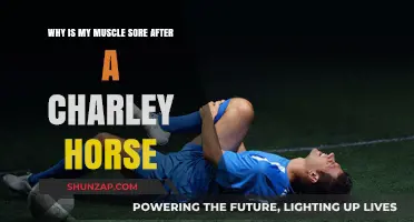 Charley Horse Aftermath: Understanding Muscle Soreness and Recovery Tips