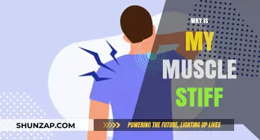 Muscle Stiffness: Why It Happens and How to Prevent It