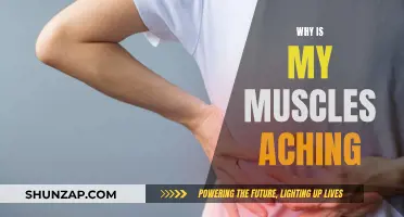 Muscle Aches: Understanding the Reasons Behind the Pain