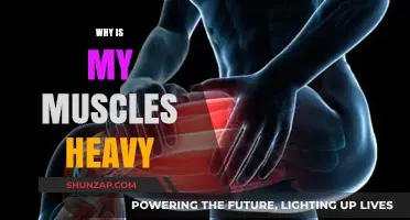 What Makes Muscles Feel Heavy?