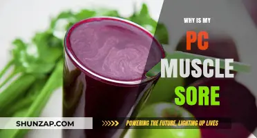 Why Your PC Muscle is Sore: Causes and Remedies Explained
