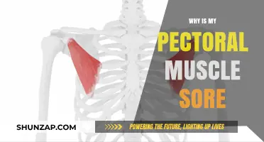 Why Your Pectoral Muscles Are Sore: Causes and Relief Tips