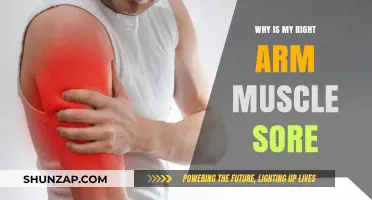 Why Your Right Arm Muscle Hurts: Causes and Remedies Explained