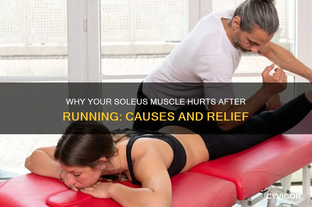 why is my soleus muscle sore after running