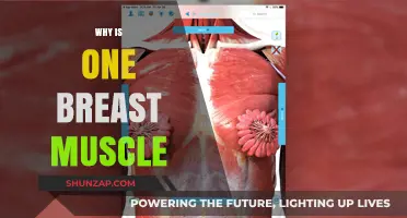 Uneven Breast Muscles: Why Does it Happen?
