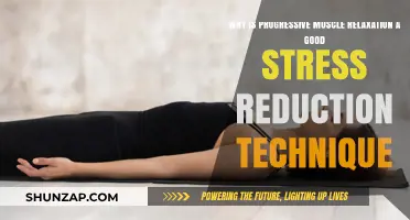 Progressive Muscle Relaxation: A Powerful Stress Reduction Technique Explained