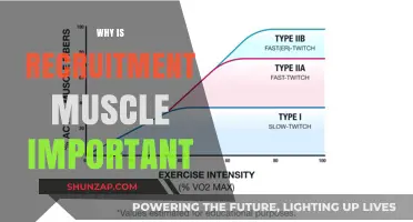 Build Your Recruitment Muscle to Hire Top Talent