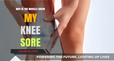 Why Your Quadriceps Muscle Above the Knee Hurts: Causes and Relief