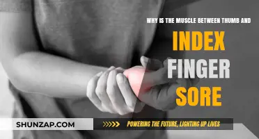 Thumb and Index Finger Muscle Pain: Causes and Relief Explained