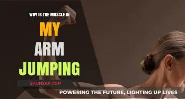 Why Your Arm Muscle is Twitching: Causes and Solutions Explained