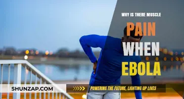 Understanding Ebola-Induced Muscle Pain: Causes, Mechanisms, and Relief