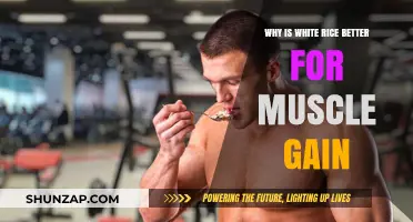 White Rice for Muscle Gain: Benefits and Optimal Usage Explained