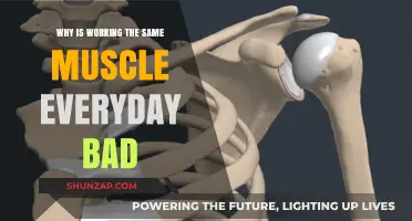 Daily Muscle Overuse: Risks of Training the Same Muscle Every Day