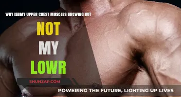 Upper Chest Growth: Why Lower Muscles Lag Behind in Development