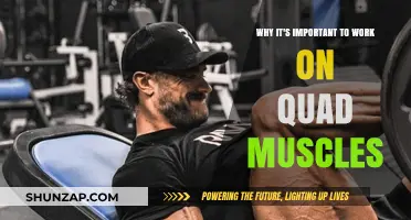 Strengthen Your Quads: Enhance Stability, Mobility, and Athletic Performance