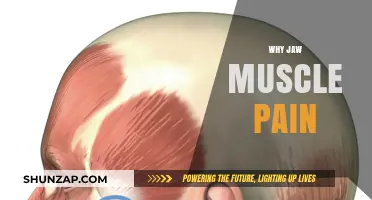Understanding Jaw Muscle Pain: Causes, Symptoms, and Effective Relief Strategies