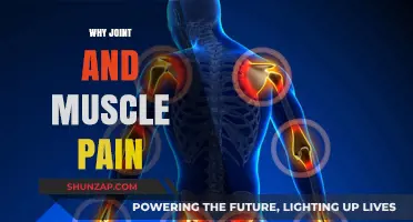Understanding Joint and Muscle Pain: Causes, Prevention, and Relief Strategies