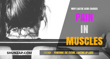 Lactic Acid and Muscle Pain: Unraveling the Burning Sensation Mystery