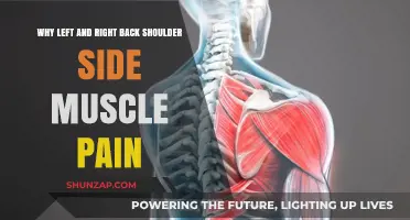 Understanding Left and Right Back Shoulder Side Muscle Pain Causes