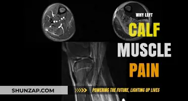 Understanding Left Calf Muscle Pain: Causes, Symptoms, and Relief Tips