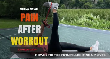 Understanding Leg Muscle Pain After Workouts: Causes and Remedies