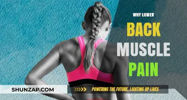 Understanding Lower Back Muscle Pain: Causes, Prevention, and Relief Strategies