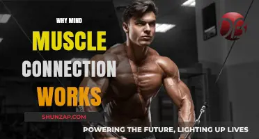 Unlocking Strength: The Science Behind Mind-Muscle Connection's Power