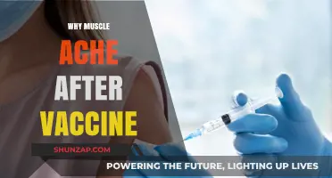 Vaccine-Induced Muscle Aches: Why It Happens