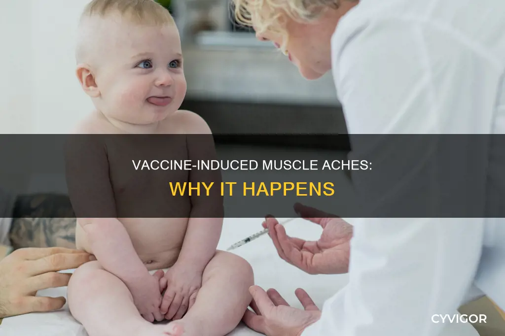 why muscle ache after vaccine