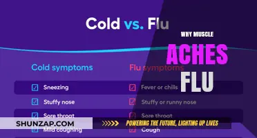 How Muscle Aches Predict Flu Symptoms