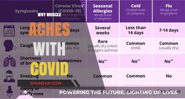 Muscle Aches and COVID: What's the Link?