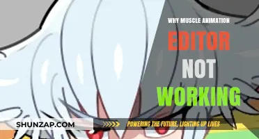 Troubleshooting Muscle Animation Editor: Common Issues and Fixes Explained