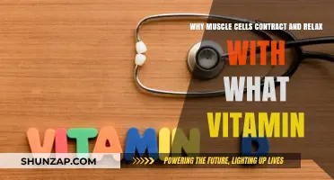 Vitamin D's Role in Muscle Contraction and Relaxation Explained