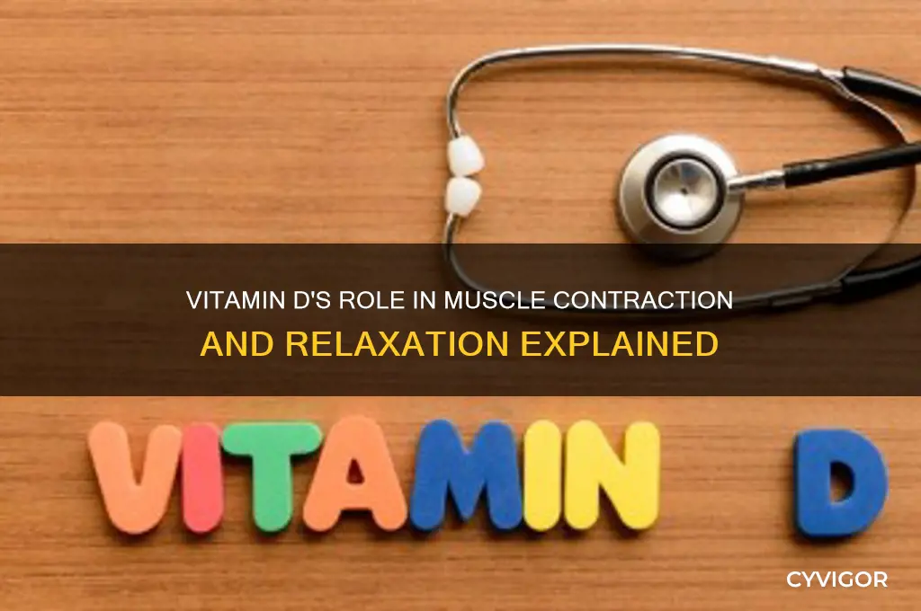why muscle cells contract and relax with what vitamin