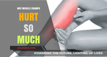 Unraveling the Agony: Why Muscle Cramps Hurt So Much