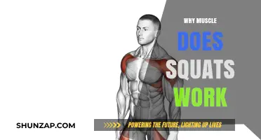 Why Squats Build Muscle: Unlocking Strength and Power Effectively
