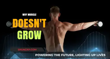 Unraveling the Mystery: Why Your Muscles Aren't Growing Despite Efforts