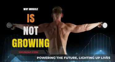 Unlocking Growth: Why Your Muscles Aren't Developing as Expected