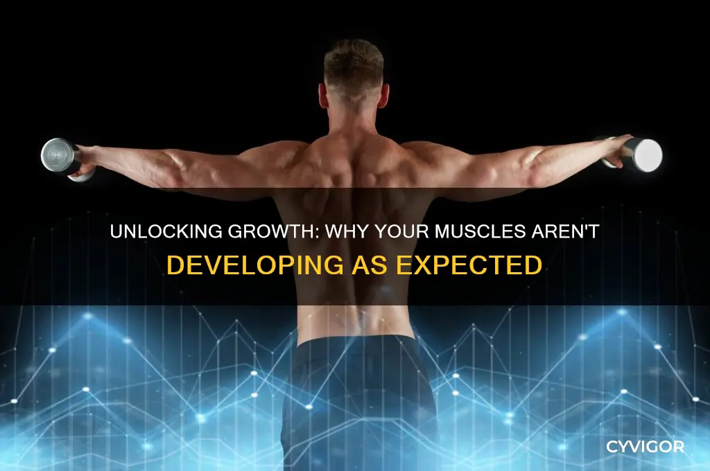 why muscle is not growing